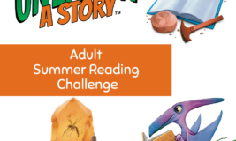 Unearth A Story. Adult Summer Reading Challenge.