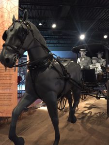 Horse at the Long Island Museum