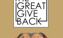 The Great Give Back logo and Emma Clark Library's logo with large close up of dog