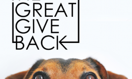 The Great Give Back logo and Emma Clark Library's logo with large close up of dog