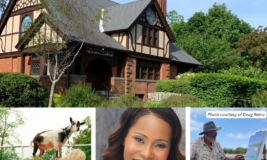 Outdoor photo of library with photos underneath of woman doing goat yoga, Paige Patterson the singer, and Doug Reina the artist.